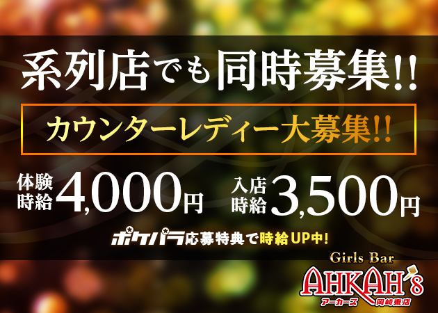 岡崎キャバクラ ナイトワーク求人 ポケパラ体入