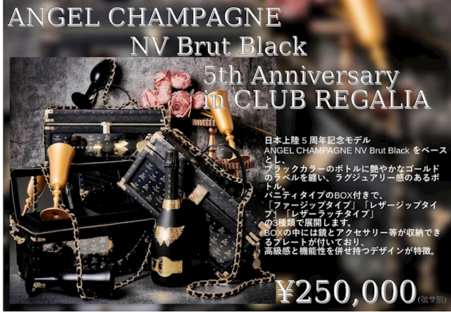 ANGEL CHAMPAGNE レザージップタイプ-