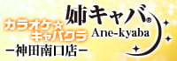 姉キャバ 神田南口店