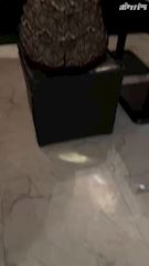 ピックアップニュース キャスト③