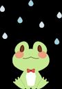 ピックアップニュース 【雨の日限定】🐸1SET2,000円☔