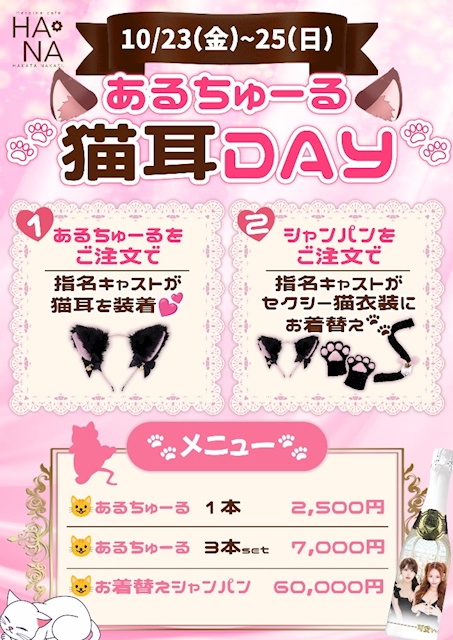 ピックアップニュース あるちゅーる猫耳day🐱💕