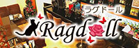 Ragdoll