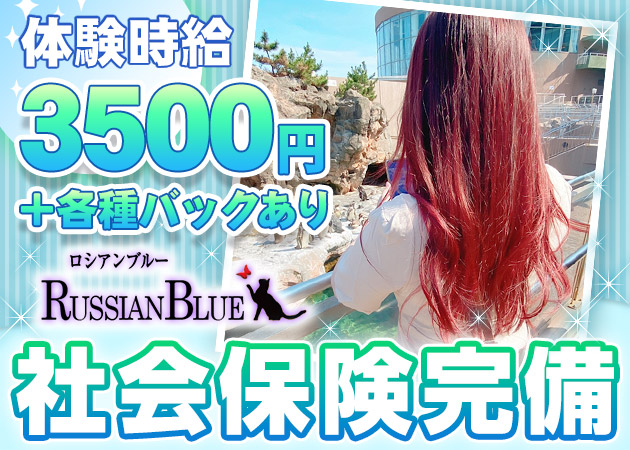 Russian Blue 職種：フロアレディ