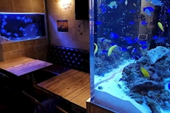 がーるずばー 月光少女・ゲッコウショウジョ - 静岡 両替町のガールズバー 店舗写真