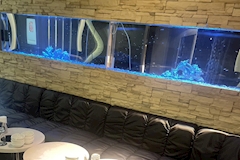 LAION 来恩・ライオン - 藤枝のキャバクラ 店舗写真