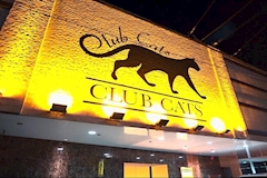 CLUB CATS 泉佐野 本店・クラブ キャッツ - 泉佐野のラウンジ/クラブ 店舗写真