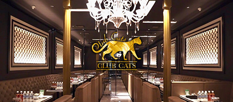 CLUB CATS・クラブ キャッツ - 泉佐野のラウンジ/クラブ