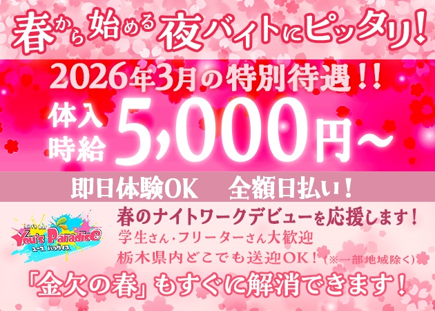 宇都宮キャバクラ ナイトワーク求人 ポケパラ体入