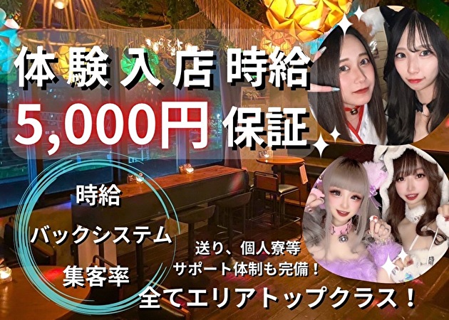 成田ガールズバー・GIRLS MUSIC BAR  “ at B ”の求人