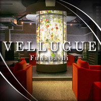 店舗写真 船橋 VELLUGUE・ヴェルージュ - 船橋駅南口のキャバクラ