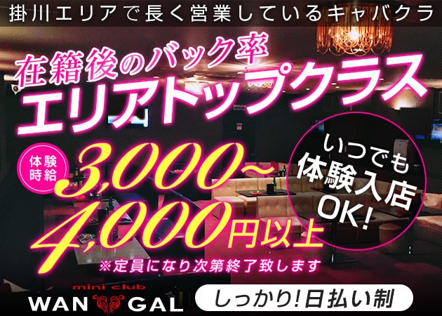 WAN GAL 職種：フロアレディ