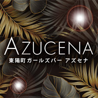 Azucena アズセナ 東陽町のガールズバー ポケパラ