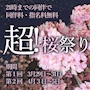 ピックアップニュース 超！桜祭り！