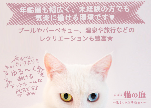pub 猫の庭 ~気まぐれな子猫たち~ 職種:フロアレディ