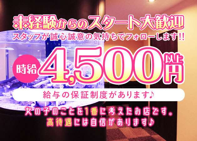 CLUB VIP 職種：フロアレディ
