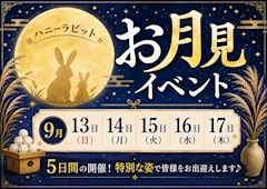 ピックアップニュース 🎑9月イベント情報🐰