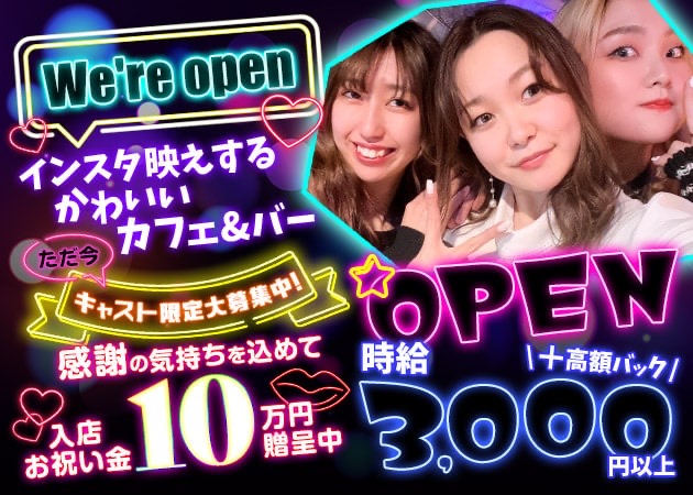 Girl's Bar ハニーラビット 職種：カウンターレディ