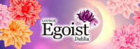 LOUNGE Egoist Dahlia
