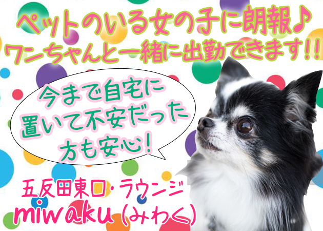 miwaku 職種:フロアレディ