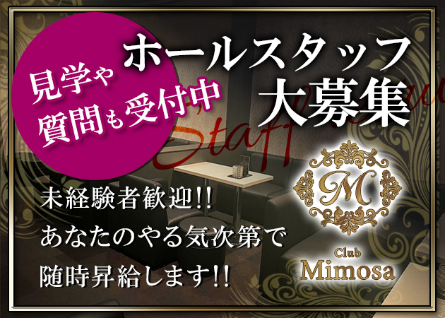清水のキャバクラ求人/アルバイト情報「Mimosa」