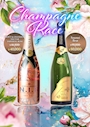 ピックアップニュース magokoro🍾3月限定キャンペーン🥂