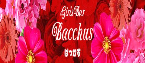 Girls Bar Bacchus新潟駅前店・ガールズバーバッカスニイガタエキマエテン - 新潟駅前のガールズバー
