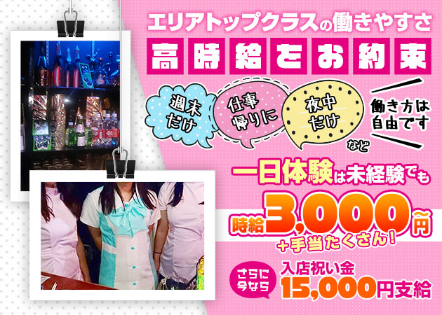 Girl’s Bar リトル・マーメイド 職種：カウンターレディ