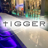 店舗写真 tiGGER・ティガー - 歌舞伎町のガールズバー