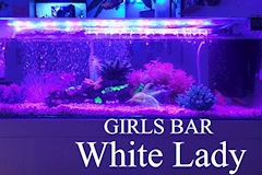 GIRLS BAR White Lady・ホワイトレディ - 久米のガールズバー 店舗写真