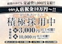 ピックアップニュース 【求人情報】キャストさん大大大募集中！！