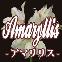 Amarylis