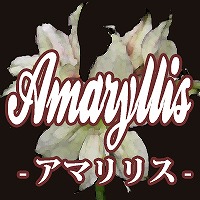近くの店舗 Amarylis