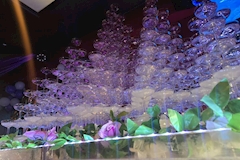 Luxury Girls Lounge R・アール - 蒲田東口のキャバクラ 店舗写真