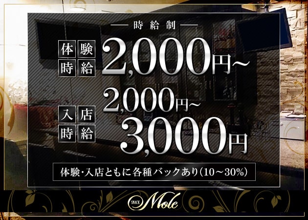 Mole 職種：カウンターレディ