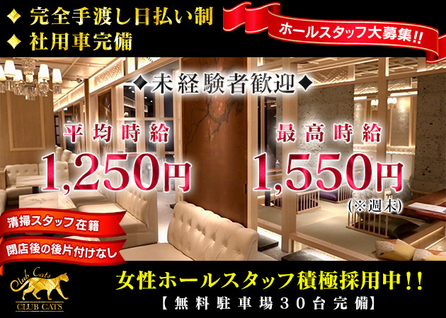 ポケパラ体入 CLUB CATS 和歌山  別邸・キャッツ - 岩出のラウンジ/クラブ男性スタッフ募集