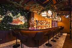 elephant cafe プリンス 札幌・エレファントカフェ - すすきのガールズバー 店舗写真
