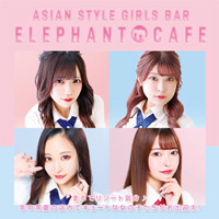 Elephant Cafe エレファントカフェ すすきのガールズバー ポケパラ