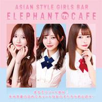 店舗写真 elephant cafe・エレファントカフェ - すすきのガールズバー