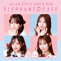 店舗写真 elephant cafe・エレファントカフェ - すすきののガールズバー