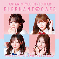 店舗写真 elephant cafe・エレファントカフェ - すすきののガールズバー