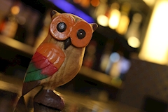 朝・昼ふくろう🦉・アサヒルフクロウ - 池袋西口の朝・昼ガールズバー 店舗写真