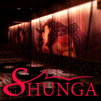 店舗写真 新橋 熟女キャバクラ・SHUNGA