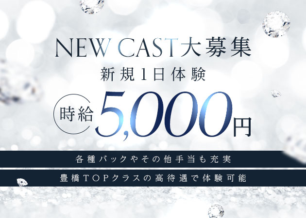 豊橋 キャバクラ・ツバキの求人