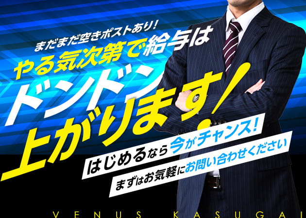 「VENUS」スタッフ求人