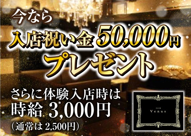 Venus 職種:(1)フロアレディ (2)ホールスタッフ (3)幹部候補 (4)店長