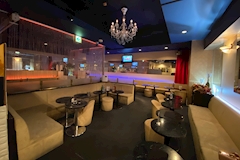 Venus garden・ヴィーナスガーデン - 神田のキャバクラ 店舗写真