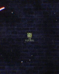 ピックアップニュース 男子スタッフ大募集!!