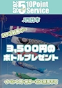ピックアップニュース 5月10P 特典🌟