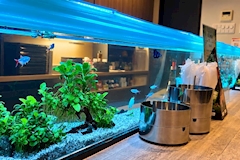 Yume-Cafe・ユメカフェ - 国分町のガールズバー 店舗写真